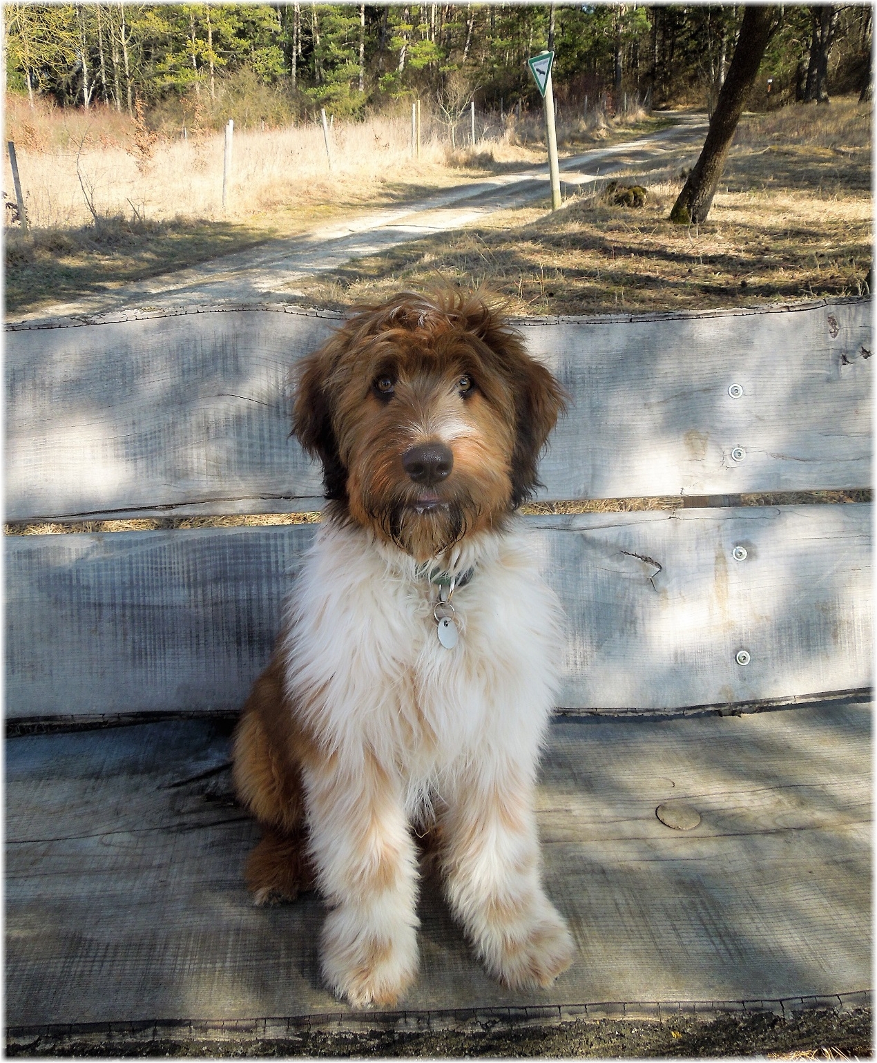 Wäller von der Straubenhalde